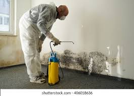 Best Mold Remediation for Healthcare Facilities  in Danville, KY